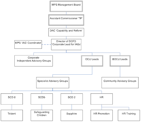 Flowchart showing structure of IAGs