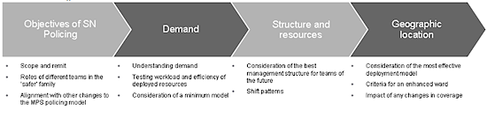 Diagram showing the scope of the review